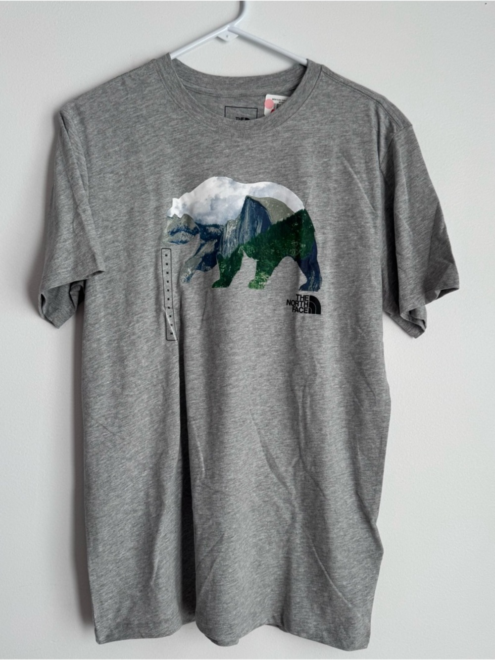 The North Face Men's Grey Graphic Bear T-Shirt